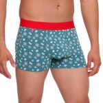 Boxeri cu stelute - imagine 4