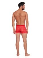 Boxeri Ren - imagine 3