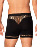 Boxer perforat - imagine 2